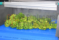 Fruits & Vegetable Pack House